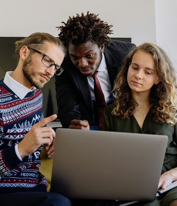 Professional business consulting session in modern office